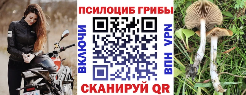 как найти наркотики  мега вход  Псилоцибиновые грибы Psilocybe  Бронницы 